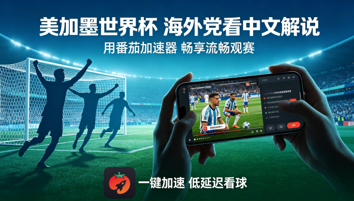 在韩国看CCTV5世界杯海外无法观看教程